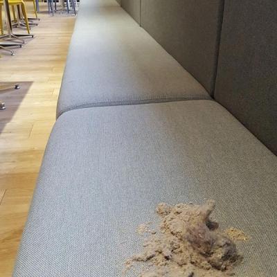 Vacuumed