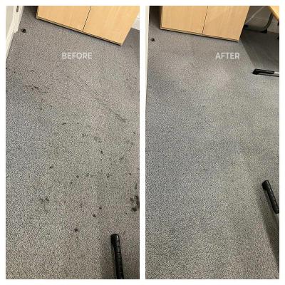 Classroom Carpet