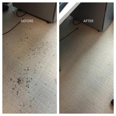 Carpet